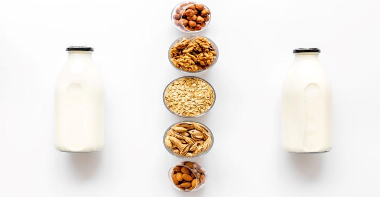 dairy and plant-based milks.jpg